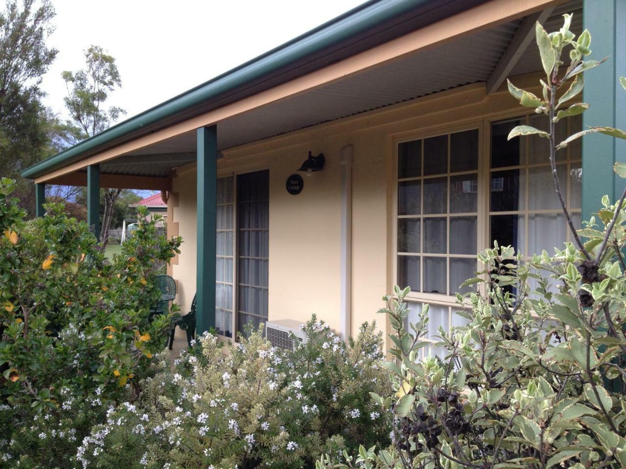 Swansea Cottages & Lodge Suites Exterior foto